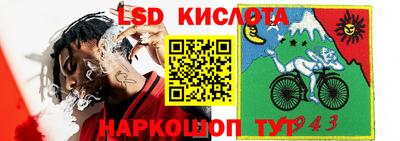 индика Берёзовский