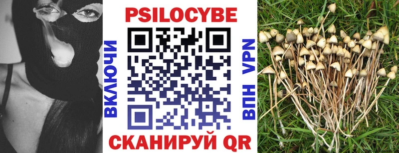 Псилоцибиновые грибы Psilocybe  omg как войти  Новоуральск 